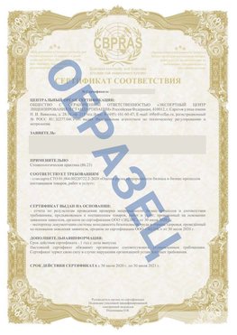 Образец Сертификат СТО 01.064.00220722.2-2020 Ногинск Сертификат СТО 01.064.00220722.2-2020 